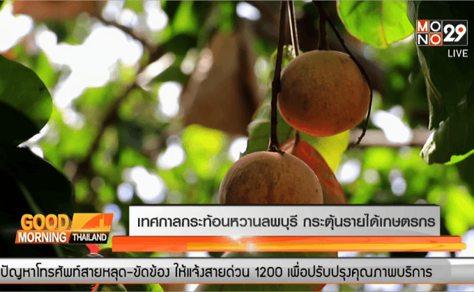 เทศกาลกระท้อนหวาน ของดีเมืองลพบุรี