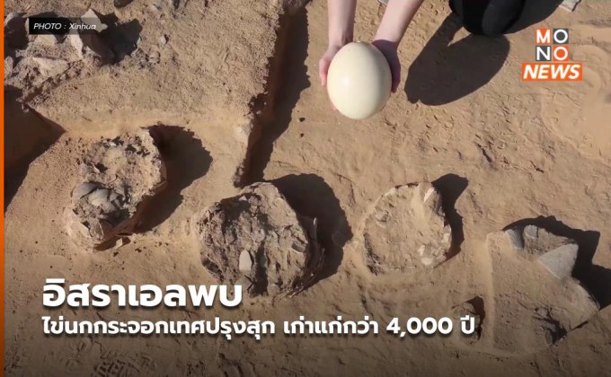 อิสราเอลพบไข่นกกระจอกเทศปรุงสุก เก่าแก่กว่า 4,000 ปี