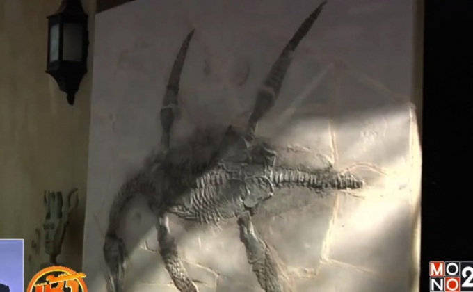 เม็กซิโกค้นพบซากสัตว์เลื้อยคลานโบราณอายุ 93 ล้านปี