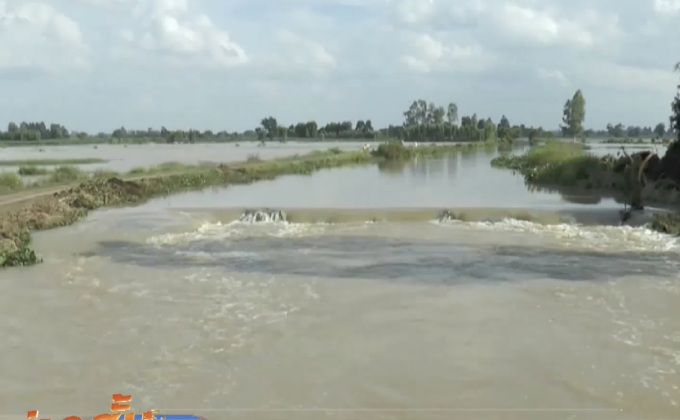 นาข้าวหลายจังหวัดภาคอีสานถูกน้ำท่วมขัง