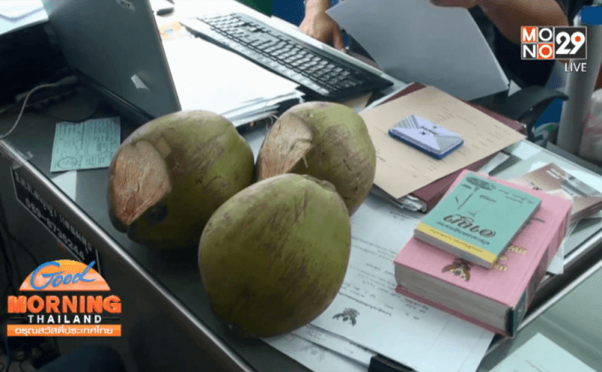 เจ้าของสวนมะพร้าว ยืนยันถูกขโมยนับสิบครั้ง