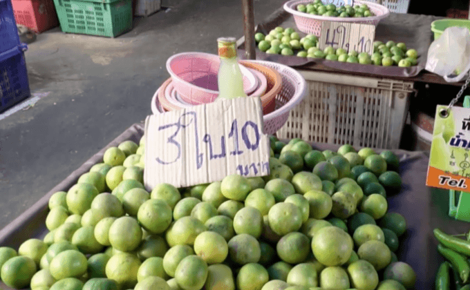 ภัยแล้งกระทบมะนาวเริ่มขยับราคาขึ้น