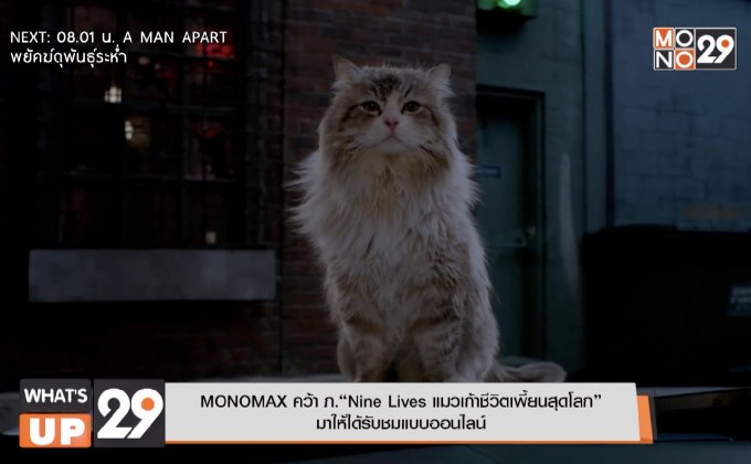 MONOMAX คว้า ภ.“Nine Lives แมวเก้าชีวิตเพี้ยนสุดโลก”  มาให้ได้รับชมแบบออนไลน์