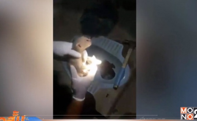 กู้ภัยช่วยเหลือลูกแมวติดในโถส้วม จ.ลำปาง