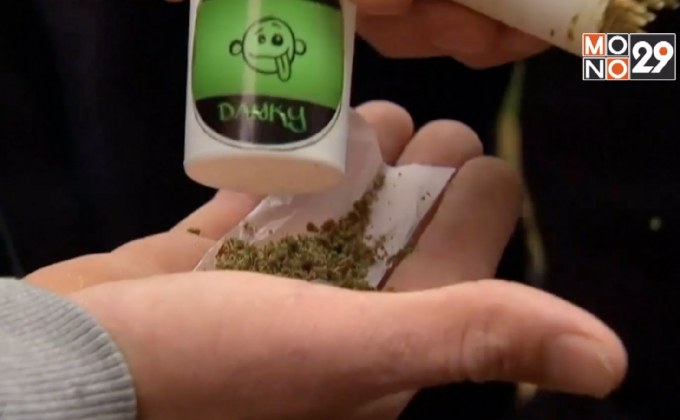 ผลวิจัยเผย กัญชาแรงเป็นเหตุปัญหาสุขภาพจิต