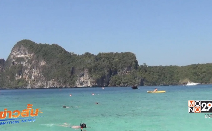 เตือนแมงกะพรุนไฟจำนวนมากในทะเลเกาะพีพี