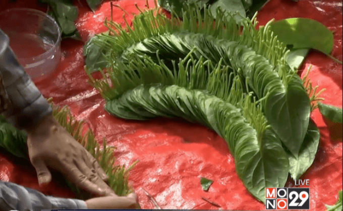 ใบพลูในเมียนมาขาดตลาด ดันราคาพุ่ง 4 เท่า