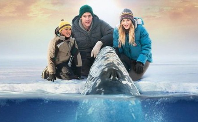 Big miracle ปาฏิหารย์วาฬสีเทา