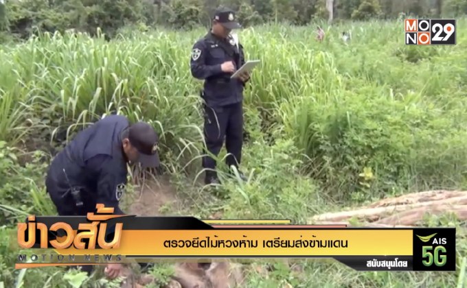 ตรวจยึดไม้หวงห้าม เตรียมส่งข้ามแดน