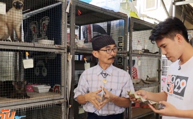 เจษฎาพาลุย : บ้านแมวไทยบางรัก (ตอนที่ 1)