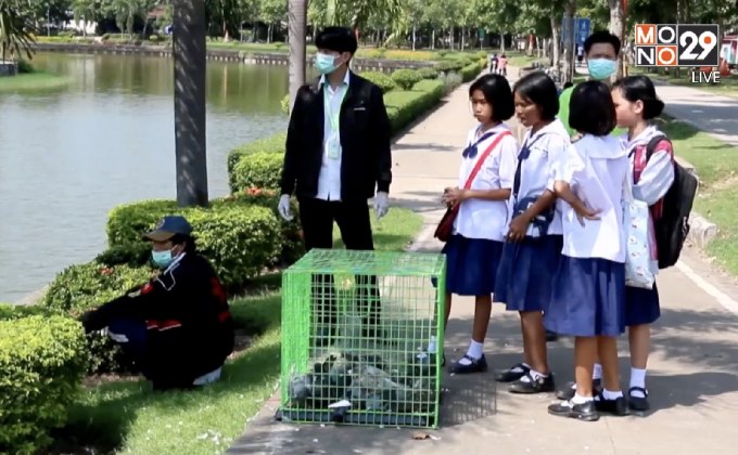 ควบคุมจำนวนนกพิราบป้องกันโรคระบาด จ.อุดรธานี