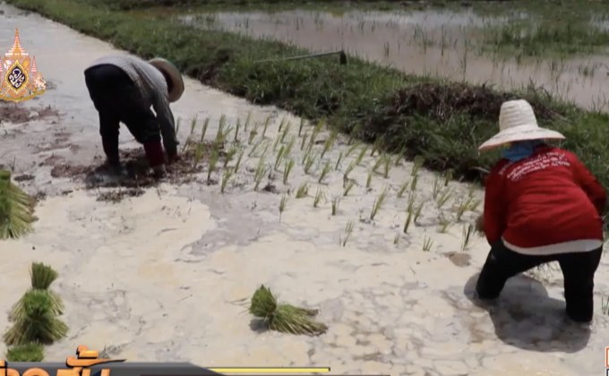 ผลกระทบภัยแล้งอีสาน