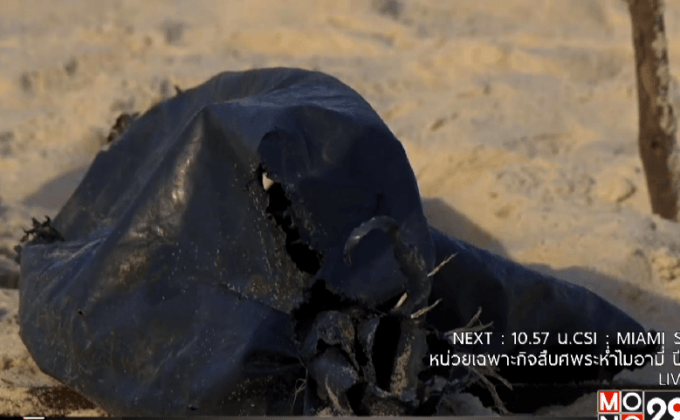 พบอวัยวะมนุษย์บริเวณชายหาดบราซิล