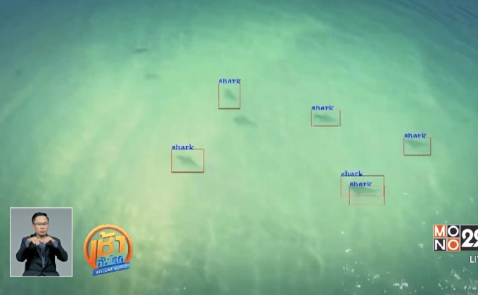 โดรนตรวจจับฉลามชายหาดออสเตรเลีย