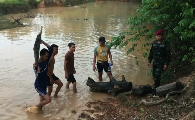 รวบชายวัย 52ปีสะสมไม้​พะยูงมูลค่ากว่า 3 ล้านบาท