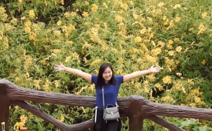 ชมทุ่งดอกบัวตองเชียงราย ท่ามกลางอากาศหนาว