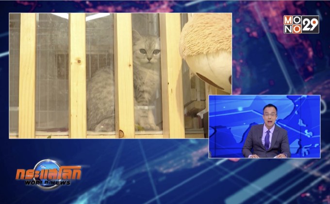 บริการรับฝากสัตว์เลี้ยงบูมในจีน