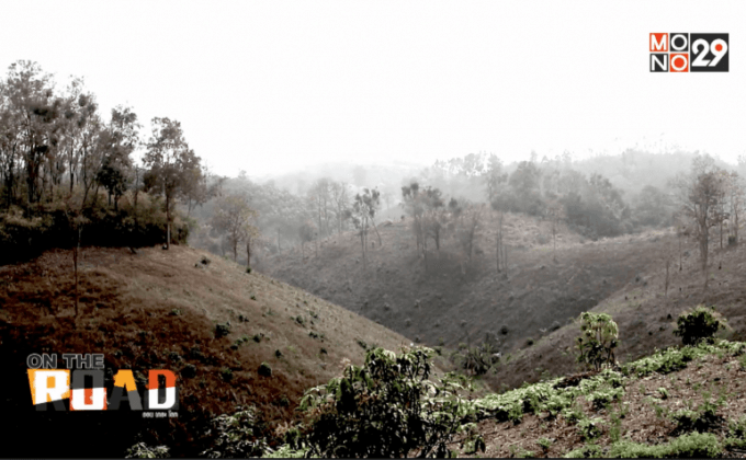 ทวงคืนเพื่อฟื้นผืนป่า