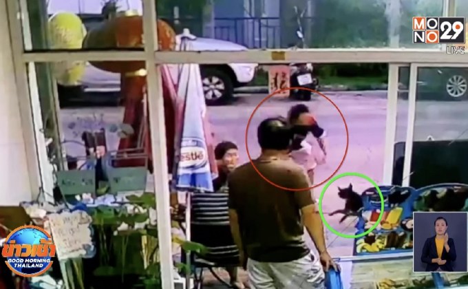 เพื่อนบ้านแจ้งความถูกข่มขู่หลังห้ามไม่ให้ตีสุนัขจรจัด