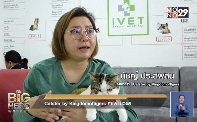 Big hero พลังคนดี ตอน Catster by Kingdomoftigers คาเฟ่แมวจร