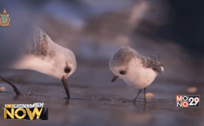 เผยคลิปแรกนกน้อย Piper หนังสั้น6นาทีฉายแปะหัวเรื่อง Finding Dory