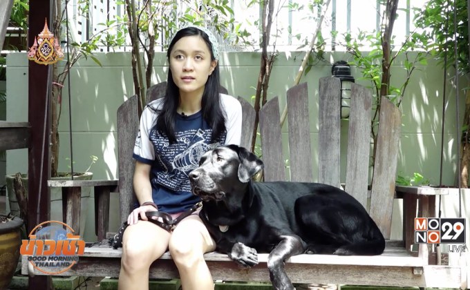 “ลูเตอร์” สุนัขนำทาง