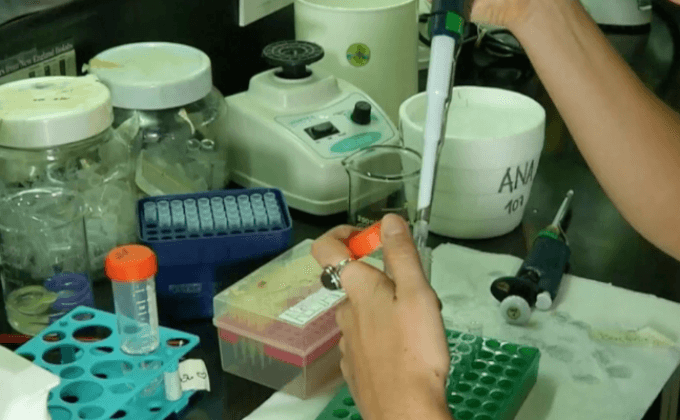 การแปลงยีนในไวรัสเพื่อพิชิตโรคมะเร็ง