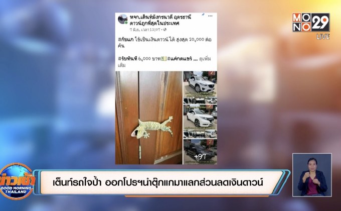 เต็นท์รถใจป้ำ ออกโปรฯนำตุ๊กแกมาแลกส่วนลดเงินดาวน์