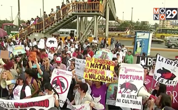 ​ตำรวจเปรูปะทะผู้ชุมนุมคัดค้านกิจกรรมสู้วัวกระทิง