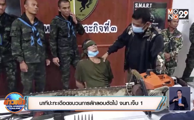 นาทีปะทะเดือดขบวนการลักลอบตัดไม้ จนท.เจ็บ 1