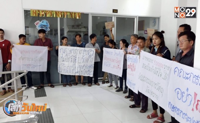 เกษตรกรเตรียมยื่นศาลปกครอง หนุนใช้ 3 สารเคมี