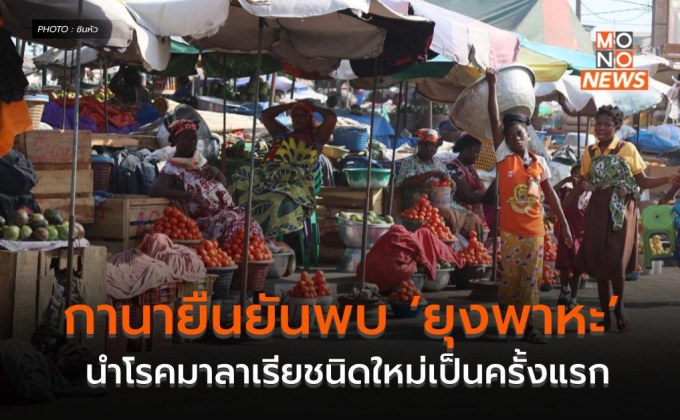 กานายืนยันพบ ‘ยุงพาหะ’ นำโรคมาลาเรียชนิดใหม่เป็นครั้งแรก