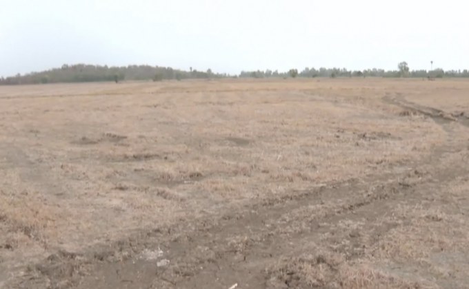 ชาวนา จ.สุพรรณบุรี ประสบปัญหาภัยแล้ง