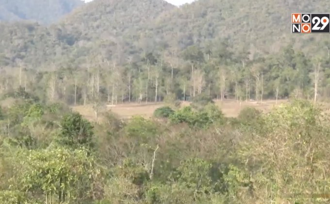 วิกฤตภัยแล้งแหล่งอาหารสัตว์ป่ากุยบุรีขาดแคลน