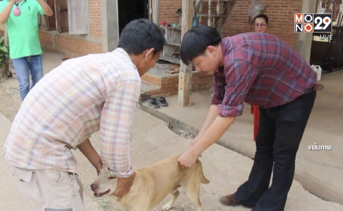 กรมปศุสัตว์ ตั้งเป้าปี 62 หยุดโรคพิษสุนัขบ้า