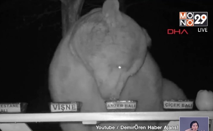 เจ้าของฟาร์มสุดเจ๋ง พลิกหมีตัวป่วนเป็นพรีเซ็นเตอร์