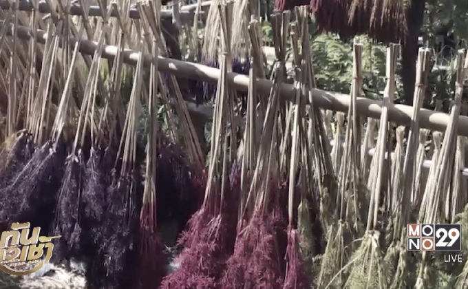 เพิ่มมูลค่าดอกหญ้าริมทาง