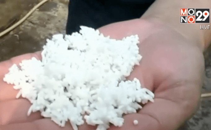 ชัดแล้ว! กรณีข้าวเหนียวปลอม ที่แท้คนขายหยิบถุงผิด