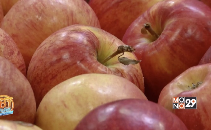 สตาร์ทอัพผุดไอเดียเจ๋ง ชุบชีวิต “แอปเปิ้ล” ลดขยะอาหาร