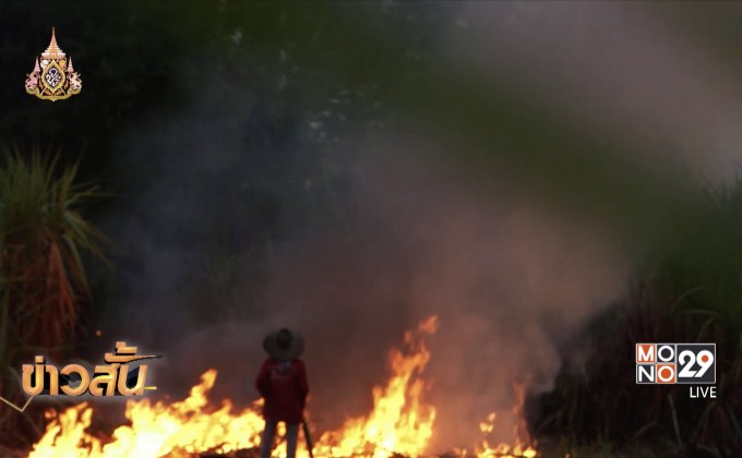 ตั้งเป้าลดการเผาอ้อยเหลือ 0% ภายใน 3 ปี