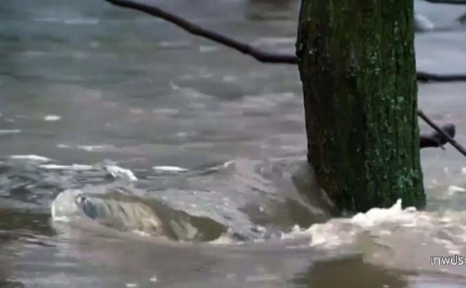 น้ำท่วมรัฐแคลิฟอร์เนียของสหรัฐฯ