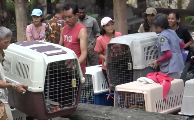 สวนสัตว์ดุสิตเคลื่อนย้ายสัตว์ไปสวนสัตว์สงขลา