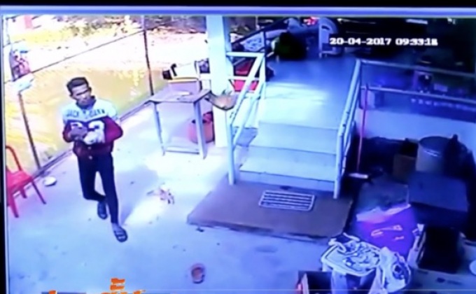 ขโมยแมวพันธุ์เปอร์เซีย เจ้าอาวาสวัด จ.นครราชสีมา