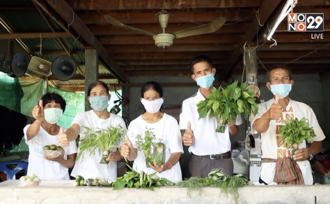 พช.ชาวอุบลร่วมใจ ปลูกผักสวนครัว รั้วกินได้