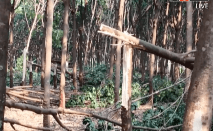 ผลกระทบจากพายุฤดูร้อน