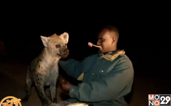 “มนุษย์ไฮยีนา” ในเอธิโอเปีย