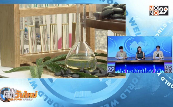 สธ.ยอมปรับแก้ประกาศสารทีเอชซีในใบช่อและดอกกัญชง