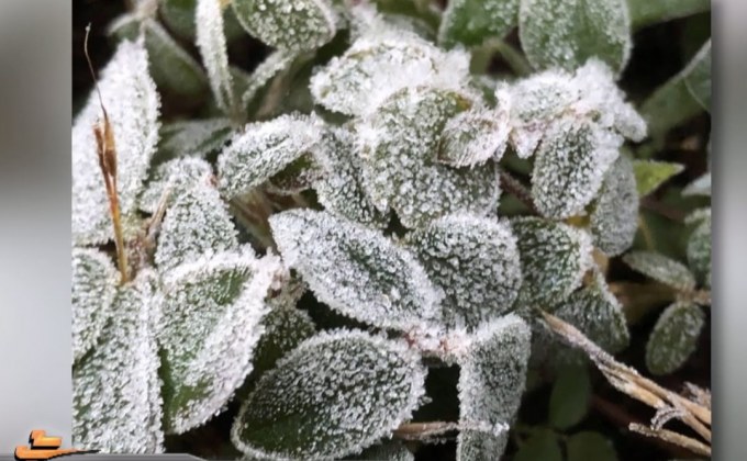 ดอยอินทนนท์เหลือ 6 องศา เกิดน้ำค้างแข็ง 3 วันติด