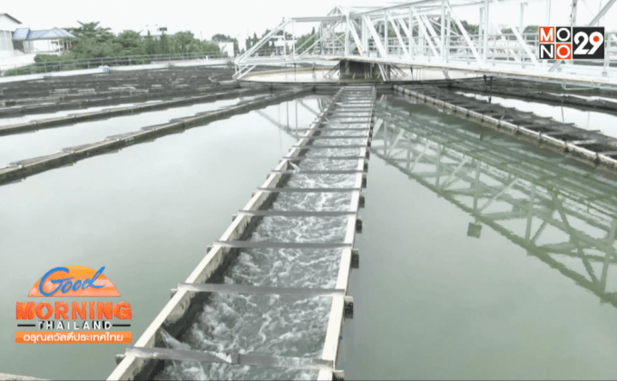 กปน.ลดปล่อยน้ำประปาเดือนธันวาคม