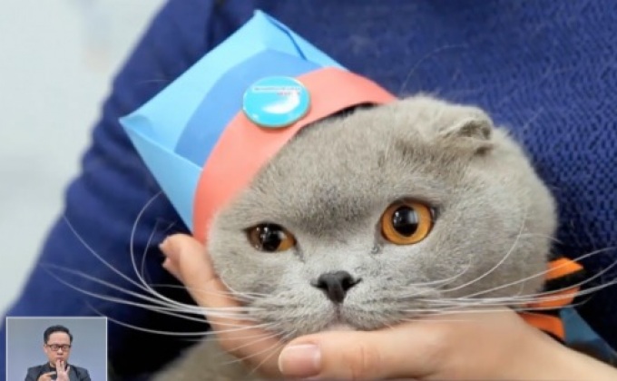 พิธีมอบรางวัล “แมวรักชาติ” ในยูเครน